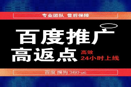 行业领先企业的sem竞价策略：成功案例剖析