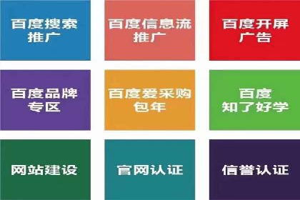 某sem代运营公司助力企业实现品牌升级